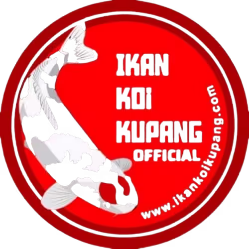 Logo Ikan Koi Kupang